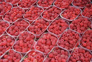 Idaeus: Raspberries - cultivated fruit