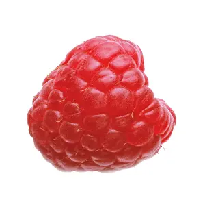 Idaeus: Raspberry