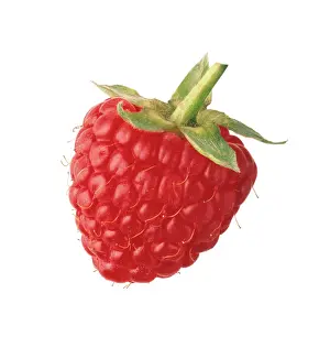 Idaeus: Raspberry