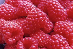 Idaeus: Raspberry