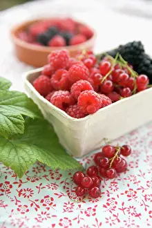 Idaeus: Raspberry