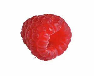 Raspberries: Raspberry