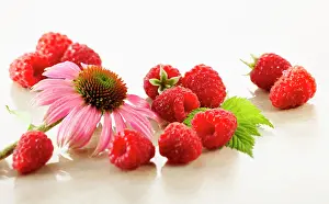 Idaeus: Raspberry, Rubus idaeus cultivar. Several berries