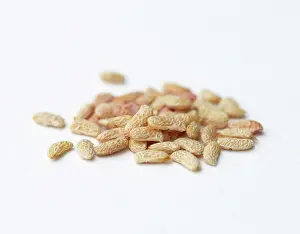 Raspberry: Raspberry seeds