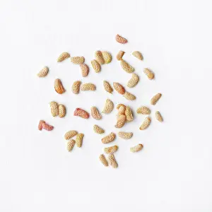 Raspberry: Raspberry seeds