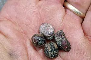 Silicate: Raw Garnets
