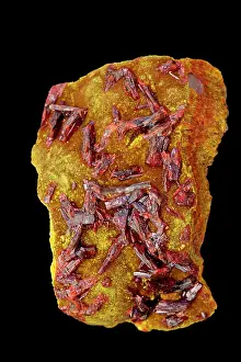 Sulfide: Realgar AsS - Arsenic sulfide (red) on orpiment