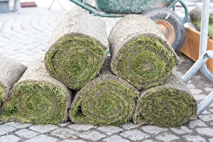 Private: Realization of a tiling and setting up rolls of