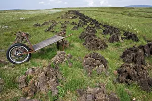 Islay: Recently dug peat blocks drying