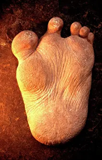 Monsters: Reconstruction: Restoration of Yeti foot, based