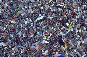 Consumer: Recycled Solid Waste