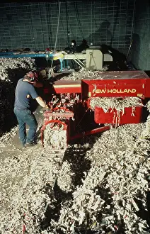 Recycling: Recycling newspapers