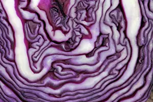 Superfood: Red cabbage, Brassica oleracea capitata, Very close