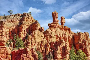 Dixie: Red Canyon Area of Dixie National Forest in Utah