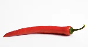 Peppers: Red Chili Pepper