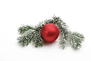 Decoratively: Red Christmas ball on fir branch with snow