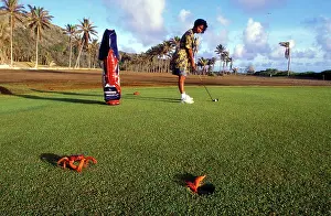 Encroachment: Red Crab (A land crab) - Crabs on golf course
