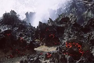 Crabs: RED CRABS - dipping at blow hole