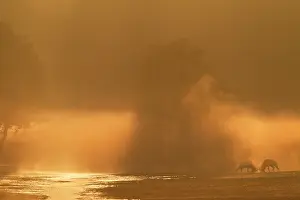 Dispute: Red Deer