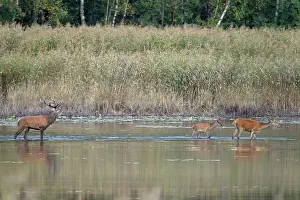 Heating: Red Deer