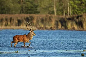 Heating: Red Deer
