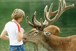 Bucks: RED DEER - CHILD FEEDING
