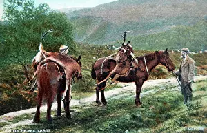 Hunters: Red Deer stalking; two Scottish ghillies with the