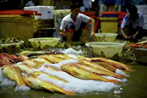 Commerical: Red Grouper - Fish market