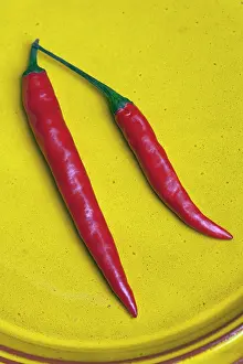 Chilli: Red Jalapeno chilli, Capsicum annuum, Close view