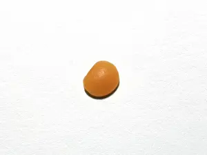 Lens: Red Lentil