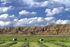 Fremont: Red Rock Cliffs, WY