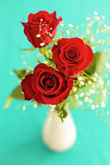 Vase: Three Red Roses (Rosa) in a white vase, turquoise