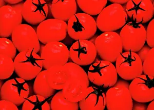 Nightshade: Red tomatoes