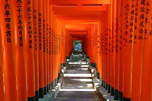 Gates: Red Torii Gate tunnel at the Hie-Jinja Shinto Shrine