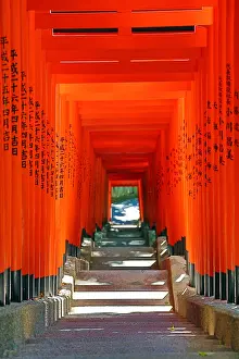 Gates: Red Torii Gate tunnel at the Hie-Jinja Shinto Shrine
