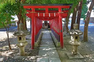 Paul Brown: Red Torii gates at Hanazono Shinto Shrine, Shinjuku, Tokyo, Japan
