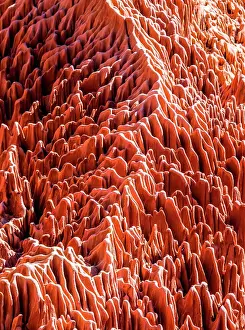 Graphic: Red Tsingy. Typical landscape. Madagascar
