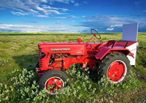 Vehicles: Red vintage tractor, Farmall D-217, oldtimer, in