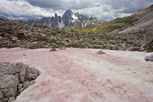 Watermelon: Red / Watermelon Snow caused by the flagellate alga