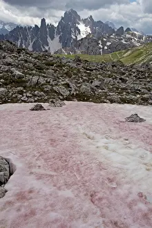 Watermelon: Red / Watermelon Snow caused by the flagellate alga