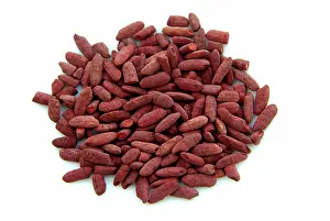 Starch: Red Yeast Rice