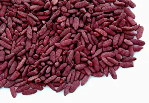 Rice: Red Yeast Rice