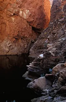 Macdonnell: Redbank Gorge, West MacDonnell Ranges National