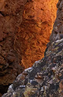 Macdonnell: Redbank Gorge, West MacDonnell Ranges National