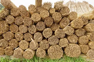 Cutters: Reed-cutters yard on the plains of eastern Hungary