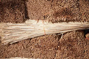 Stacked: Reeds