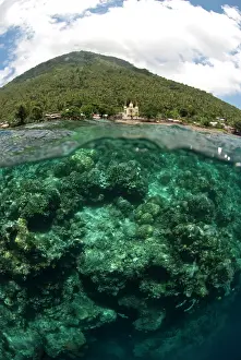Manado: Reef - with corals and Manado Tua volcano in background