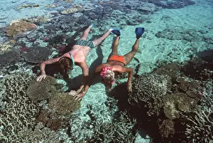 Hobbies: REEF - TWO SNORKELLERS