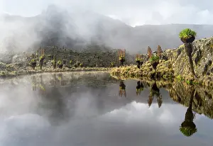 Gigantic: Reflection in a mountain lake with Giant