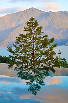 250119: Reflection of trees at Sun Moon Lake, Yuchi Township